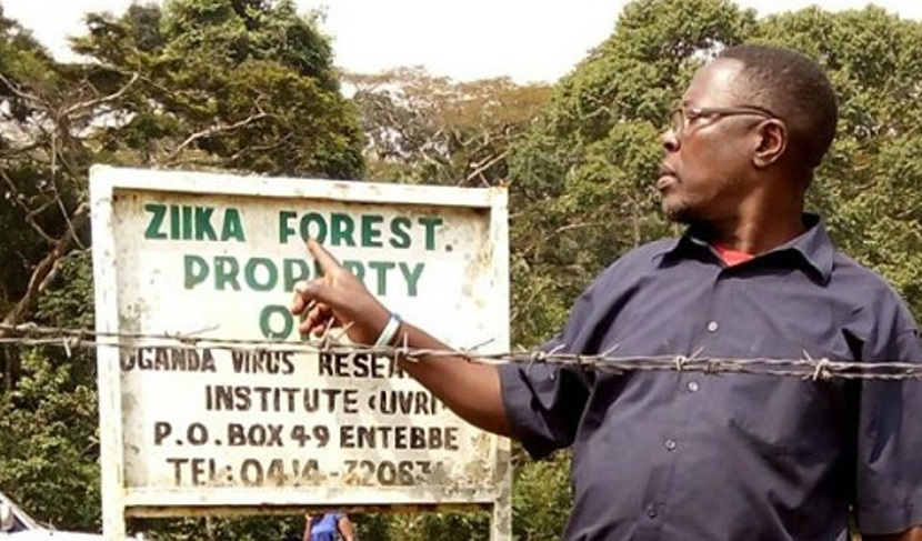 Foto: BBC África (o mosquito recebeu o nome da floresta onde foi descoberto).